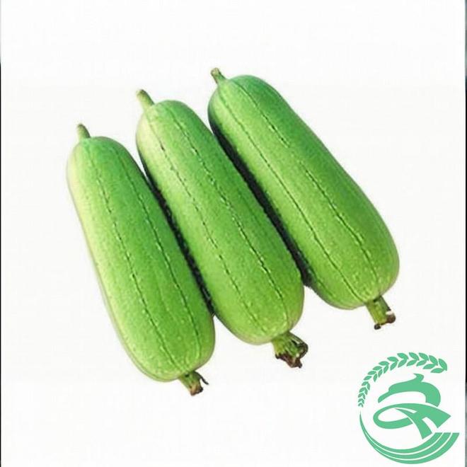 2026年5月 优质送菜公司解决工厂食堂配送难题